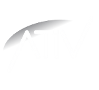 ATIV Software logo