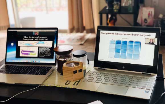 3-Column-TAGC20-GSA-@drosophilospher Virtual Meeting Scientific Meeting