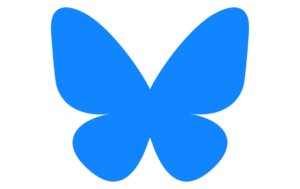 Bluesky Logo
